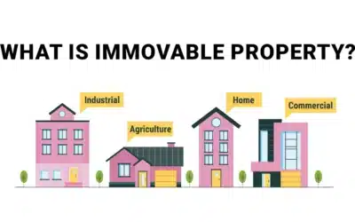 What Is Immovable Property? Meaning, Rights & Examples
