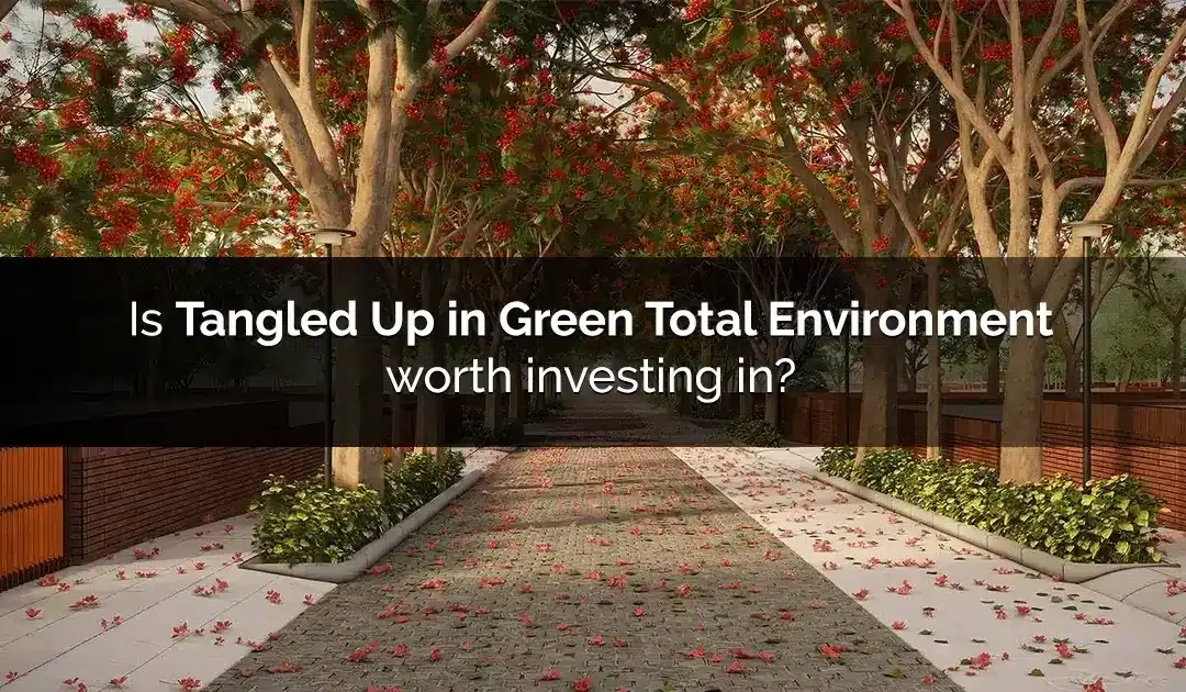 Is Tangled Up in Green Total Environment worth investing in?