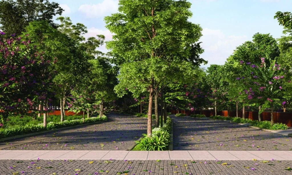 Green Plot
