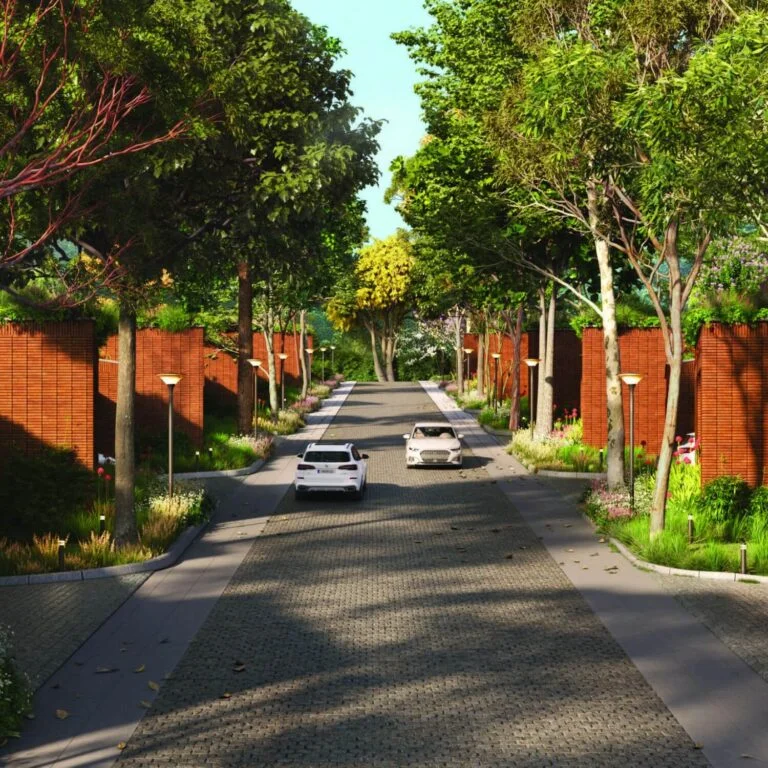 Over The Rainbow Total Environment Road View